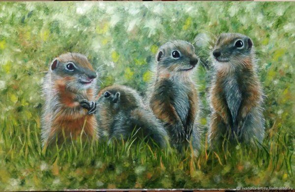 Картины сусликов картину сусликов