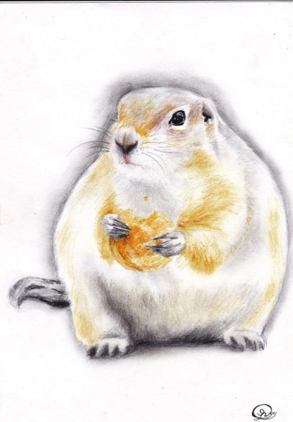 Суслик мультяшный