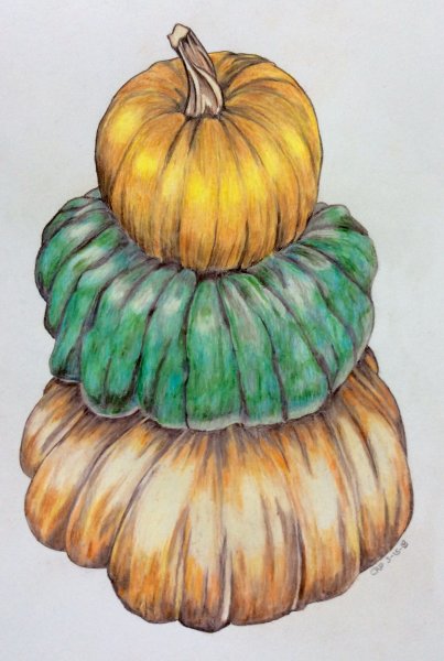 Тыква набросок