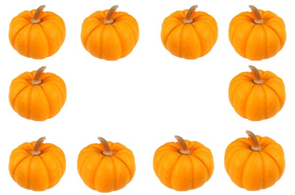 Тыковка на белом фоне