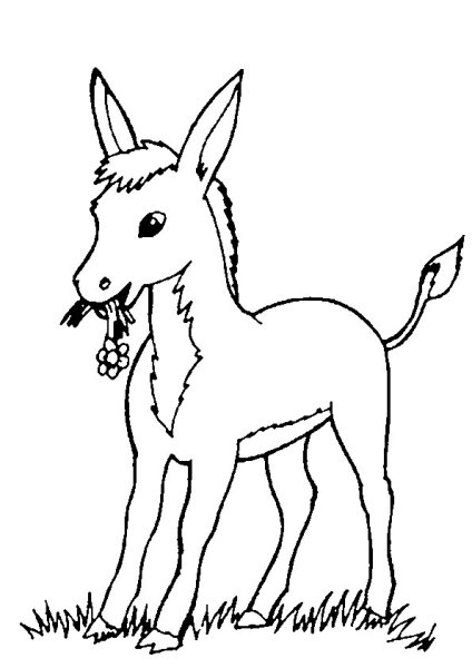 Ослик раскраска для детей