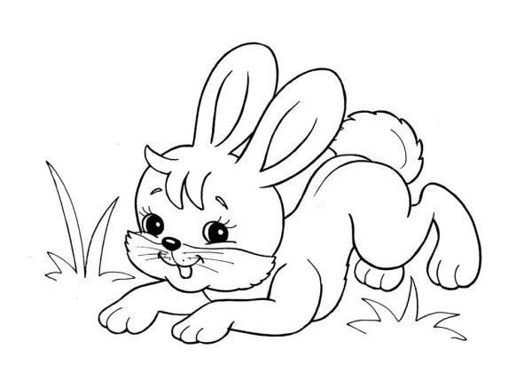 Раскраска зайчик