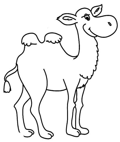 Рисование верблюда