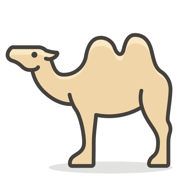 Верблюд карандашом