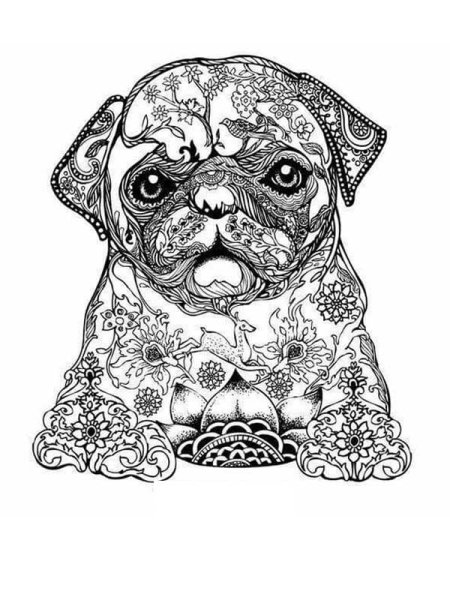 Раскраска антистресс