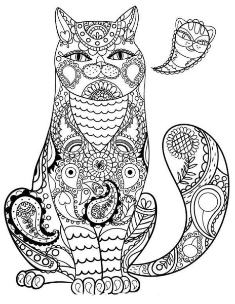 Раскраска антистресс