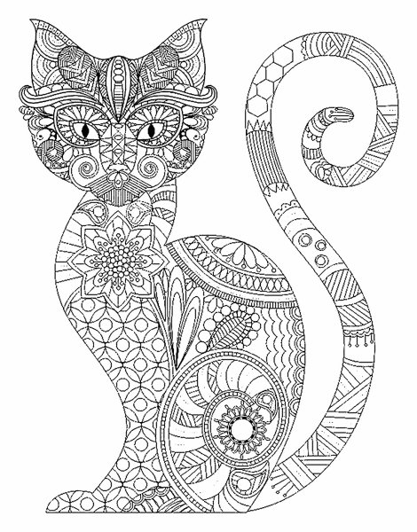 Раскраски антистресс птички