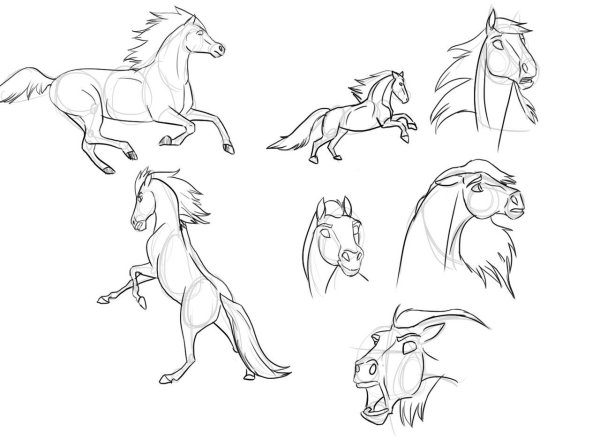 Спирит душа прерий Наброски