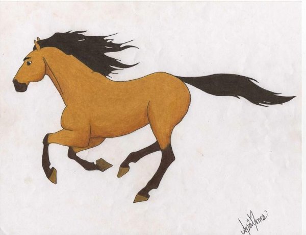 Спирит душа прерий Наброски