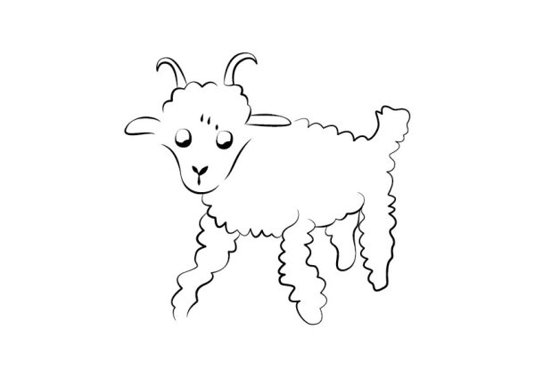 Маленький принц барашек