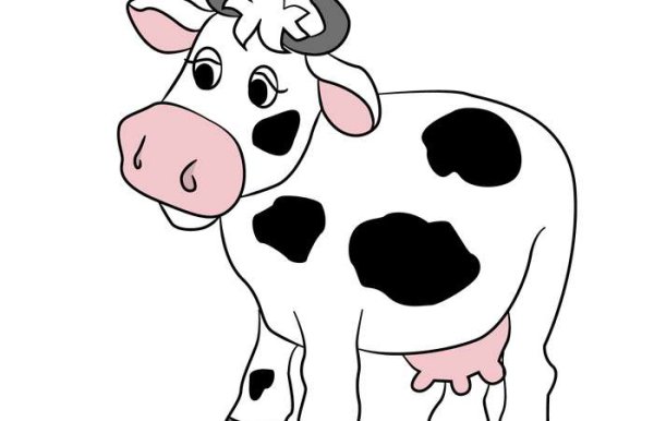 Бычок раскраска для детей