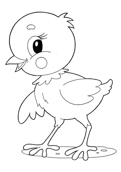 Цыпленок раскраска для малышей