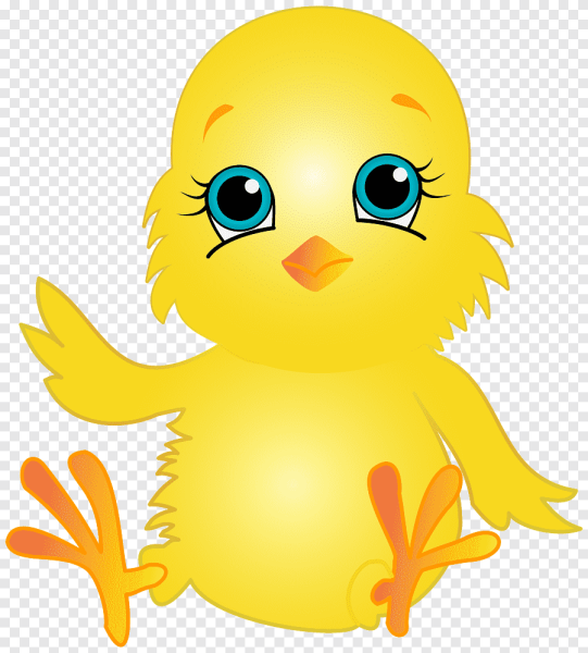 Цыпленок на прозрачном фоне