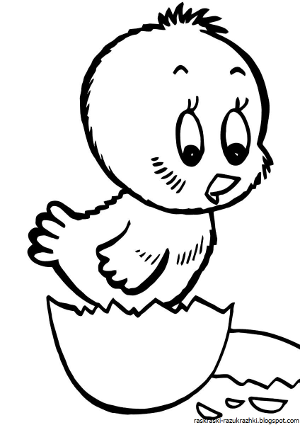 Трафарет цыпленка для рисования