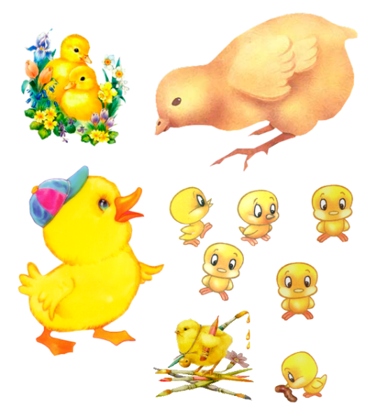 Утенок раскраска