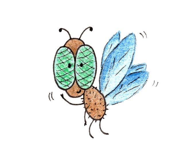 Маленькая Муха