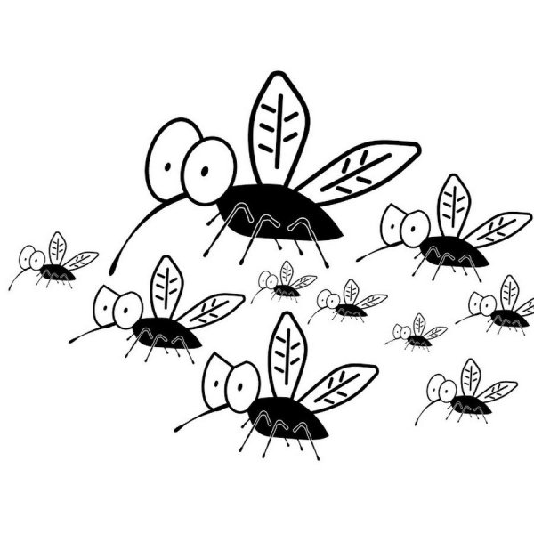 Рисование по этапам насекомые