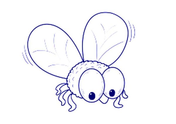 Поэтапное рисование насекомых для детей