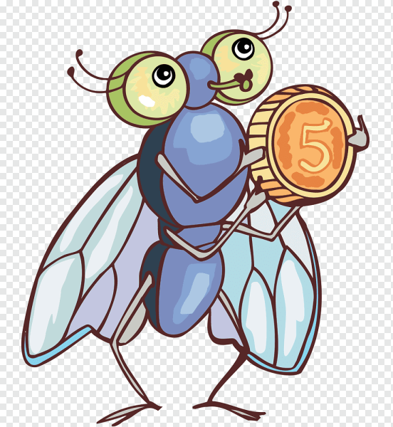 Муха раскраска для детей