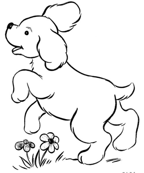 Щенок раскраска для малышей