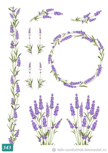Стикеры Лаванда