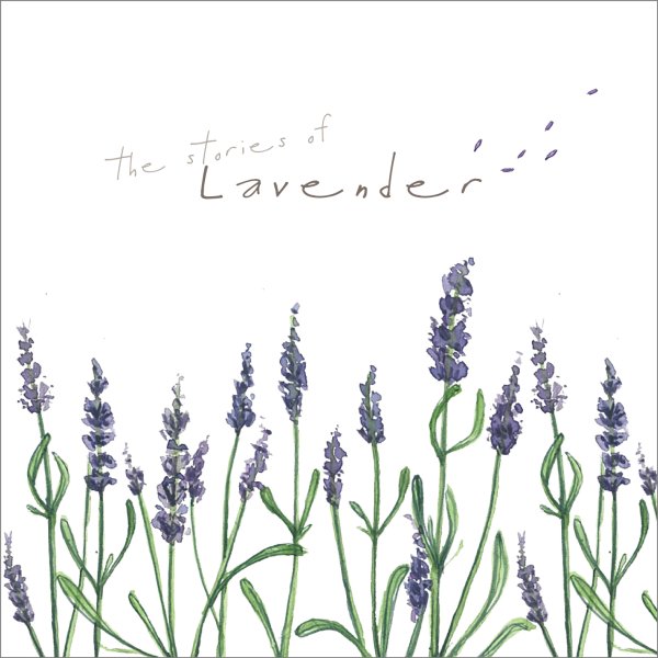 Лаванда карандашом