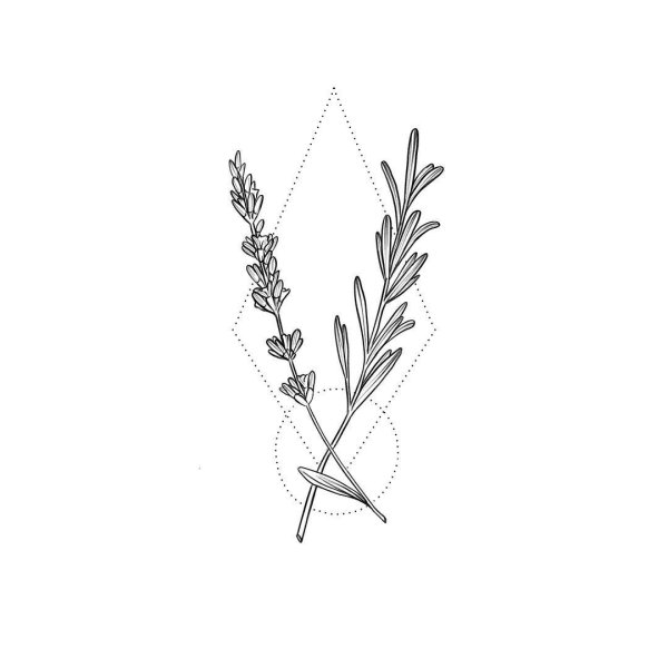 Тату Лаванда эскиз