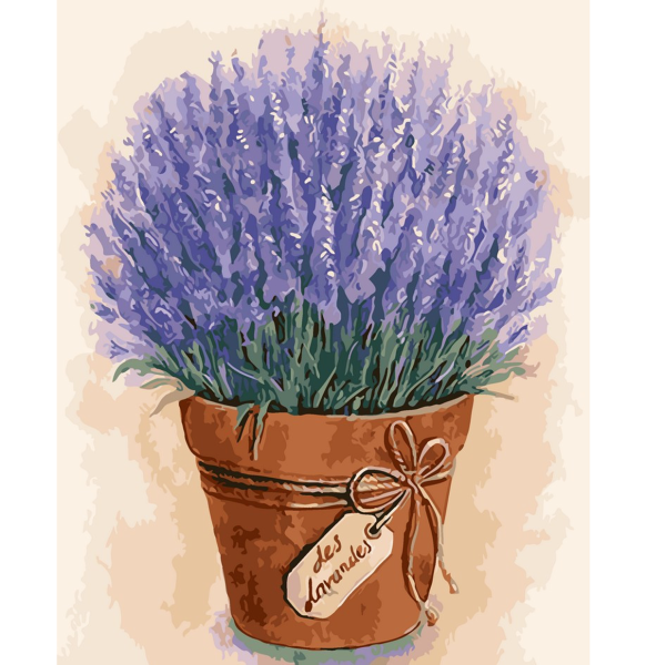 Лаванда рисовать