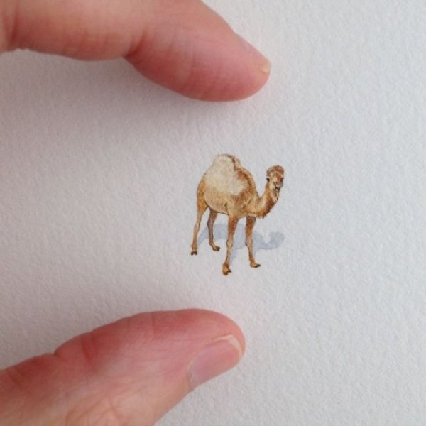 Brooke Rothshank миниатюры рисунки