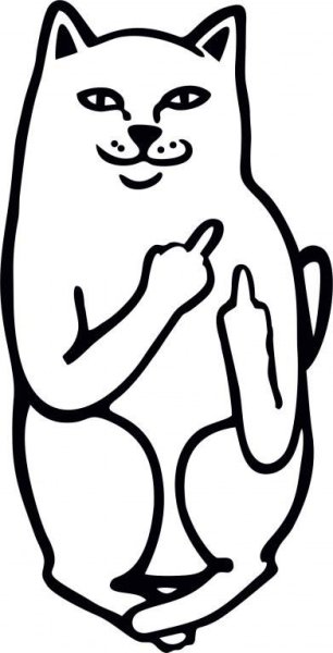 Кот показывает фак