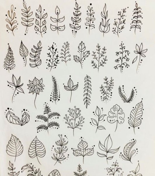 Тату листья эскизы