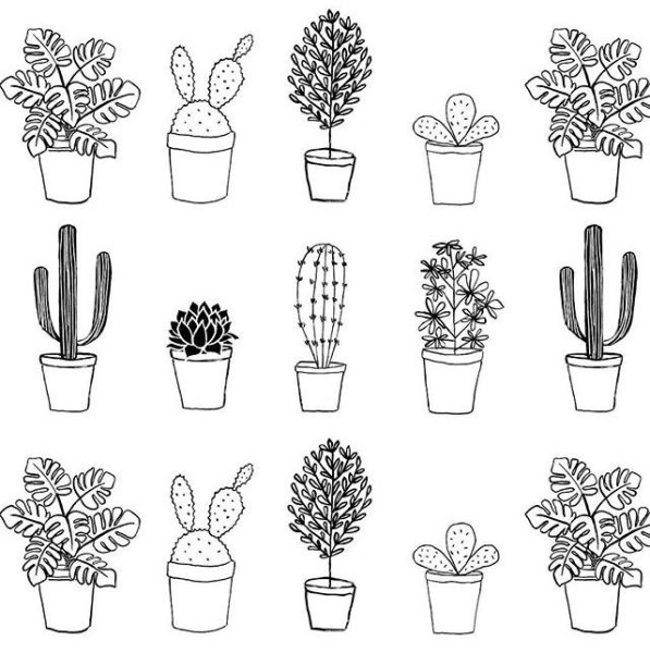 Маленькие чёрно белые кактусы