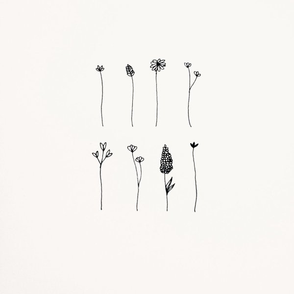 Минималистичные зарисовки