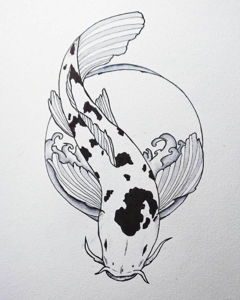 Карп кои Татуировка