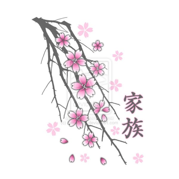 Ветка Сакуры эскиз