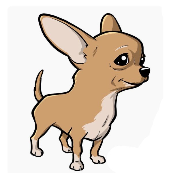 Собака чихуа терьер