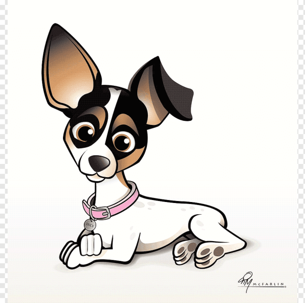 Джек Рассел чихуахуа одежда