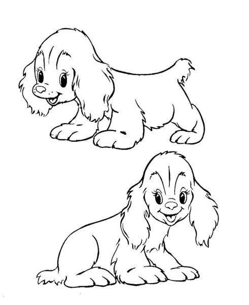 Щенок раскраска для детей