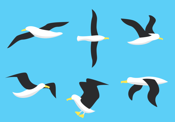 Albatross вектор