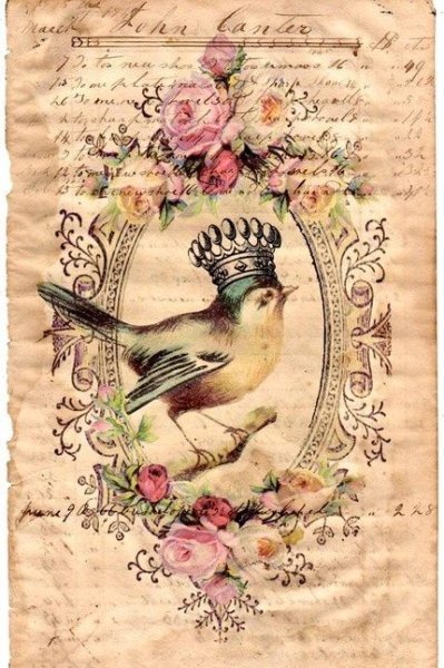 Снежана Ченина иллюстрации