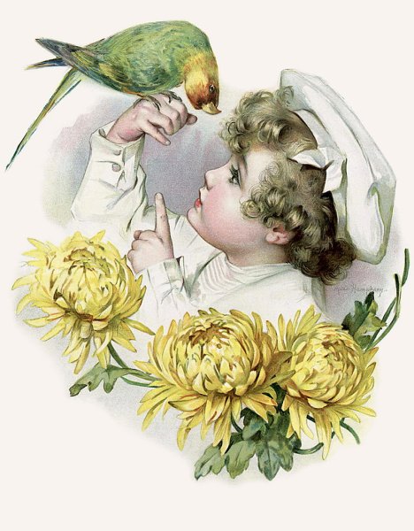 Винтажные открытки с едой