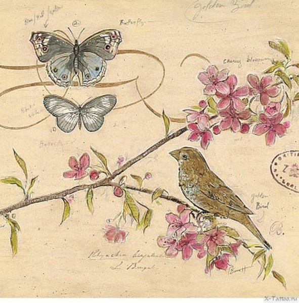 Старые открытки с днем рождения