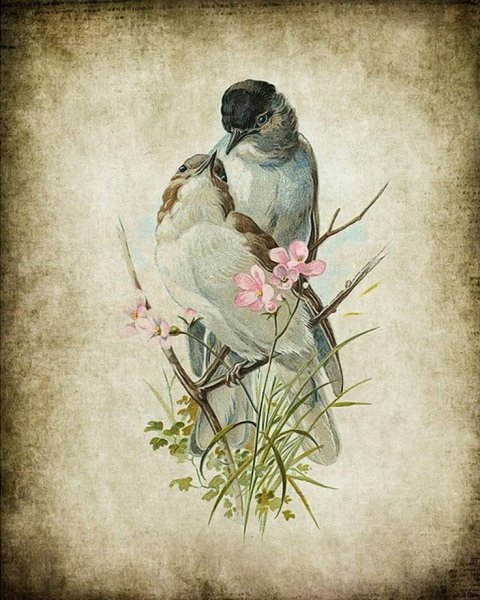 Декупажная карта черно белая