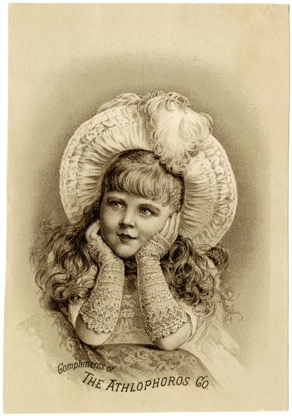 Винтажные птицы