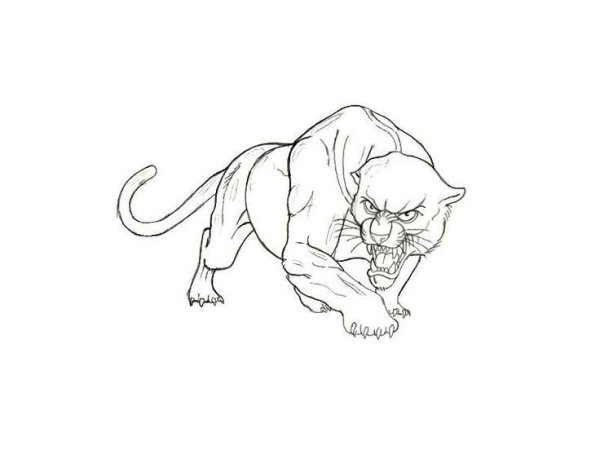 Набросок животного в движении