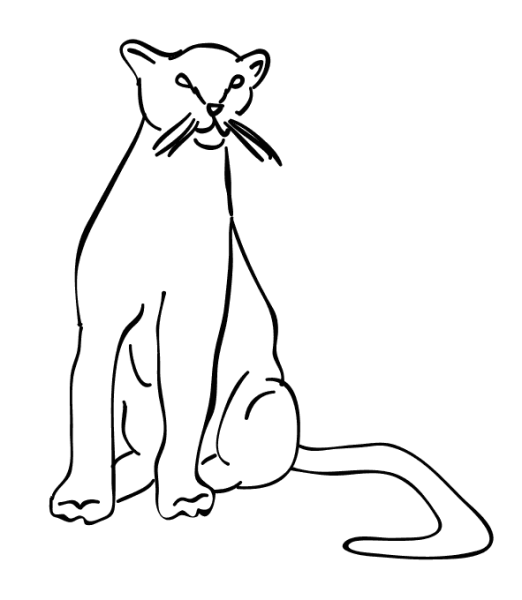 Узор пантера