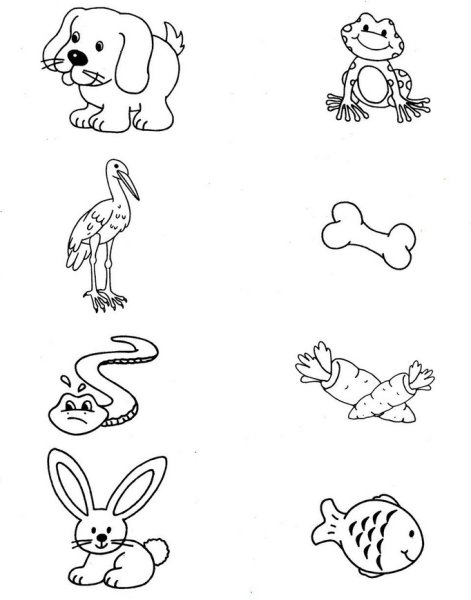 Задания для детей 4 лет