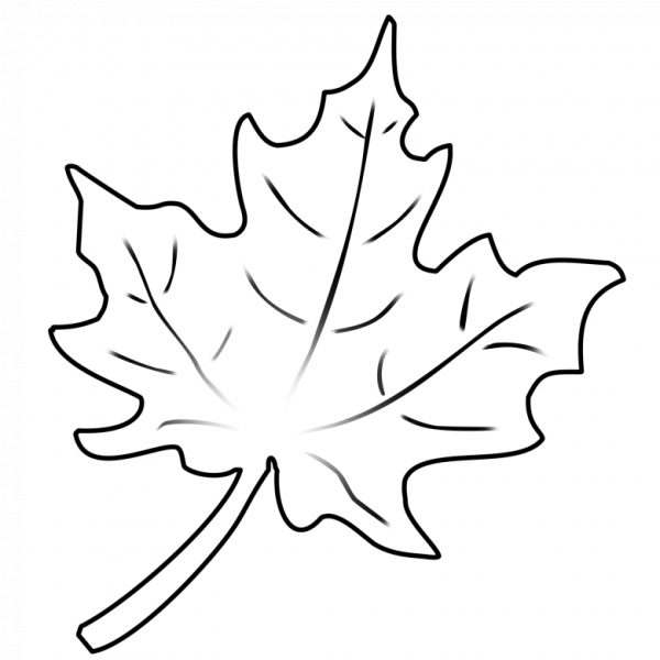 Листочки карандашом