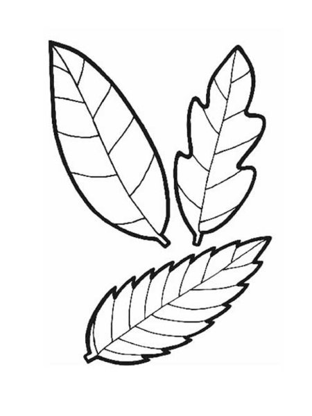 Листочки раскраска для детей