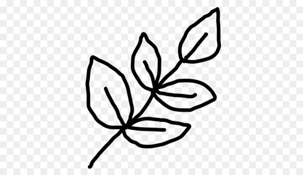 Листочки контур svg